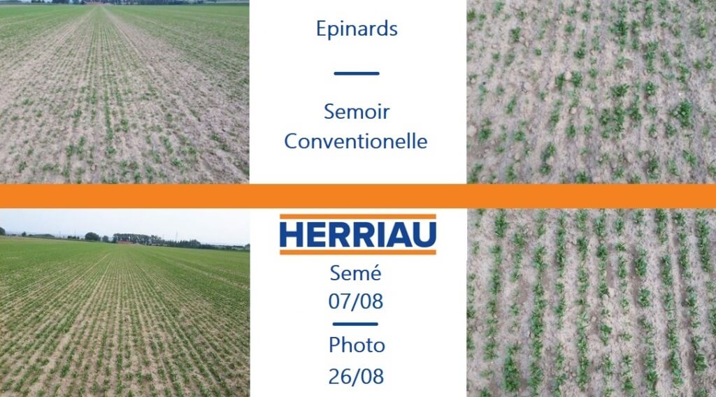 Herriau - 
