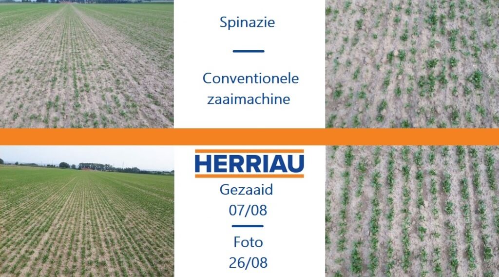 Veld-NL-2 Herriau -